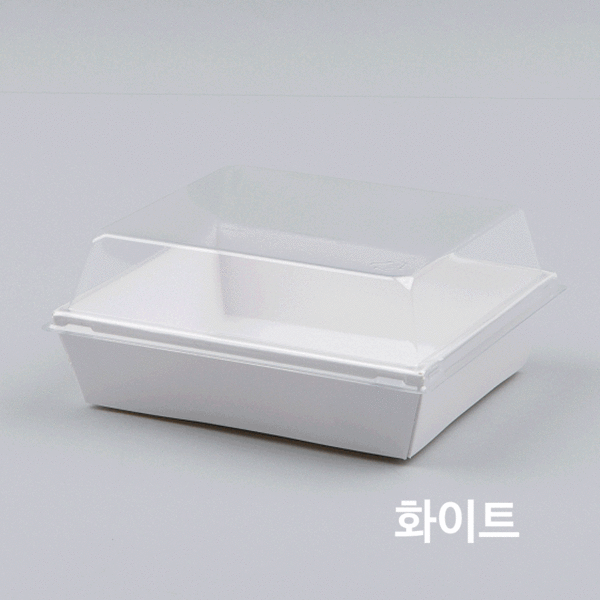 DL-04 [박스/500개]